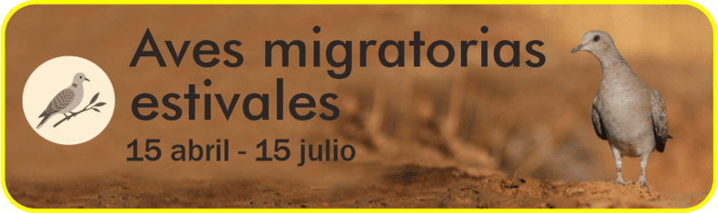 Aves Migratorias Estivales