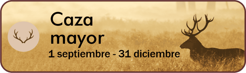 Caza Mayor