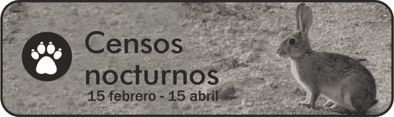 Censos Nocturnos