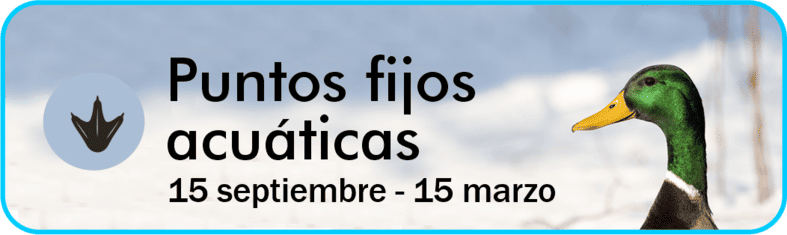 Puntos Fijos Acuáticas II