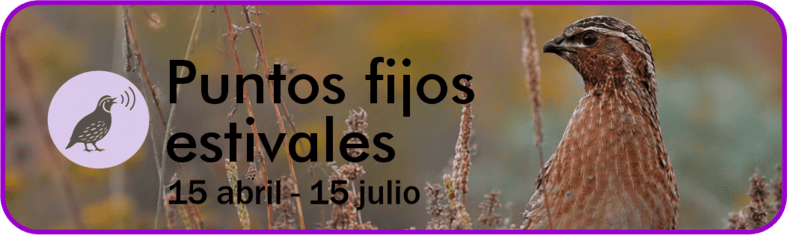 Puntos Fijos Estivales